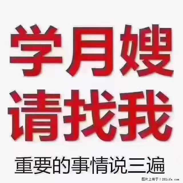 为什么要学习月嫂，育婴师？ - 其他广告 - 广告专区 - 荆门分类信息 - 荆门28生活网 jingmen.28life.com