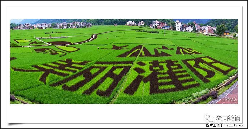 【春天,广西桂林灌阳县向您发出邀请!】开篇 - 游山玩水 - 荆门生活社区 - 荆门28生活网 jingmen.28life.com