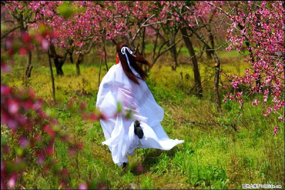 【春天,广西桂林灌阳县向您发出邀请!】官庄村有个醉美的桃花园 - 游山玩水 - 荆门生活社区 - 荆门28生活网 jingmen.28life.com