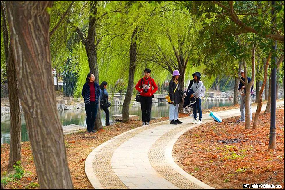 【春天,广西桂林灌阳县向您发出邀请!】江口老街又逢春 - 游山玩水 - 荆门生活社区 - 荆门28生活网 jingmen.28life.com