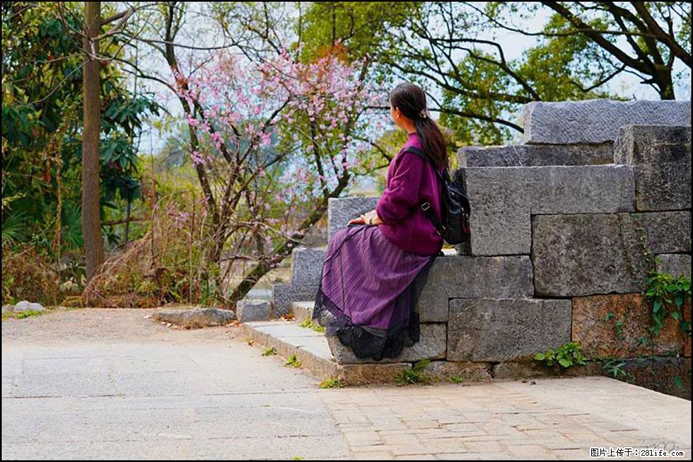 【春天,广西桂林灌阳县向您发出邀请!】江口老街又逢春 - 游山玩水 - 荆门生活社区 - 荆门28生活网 jingmen.28life.com