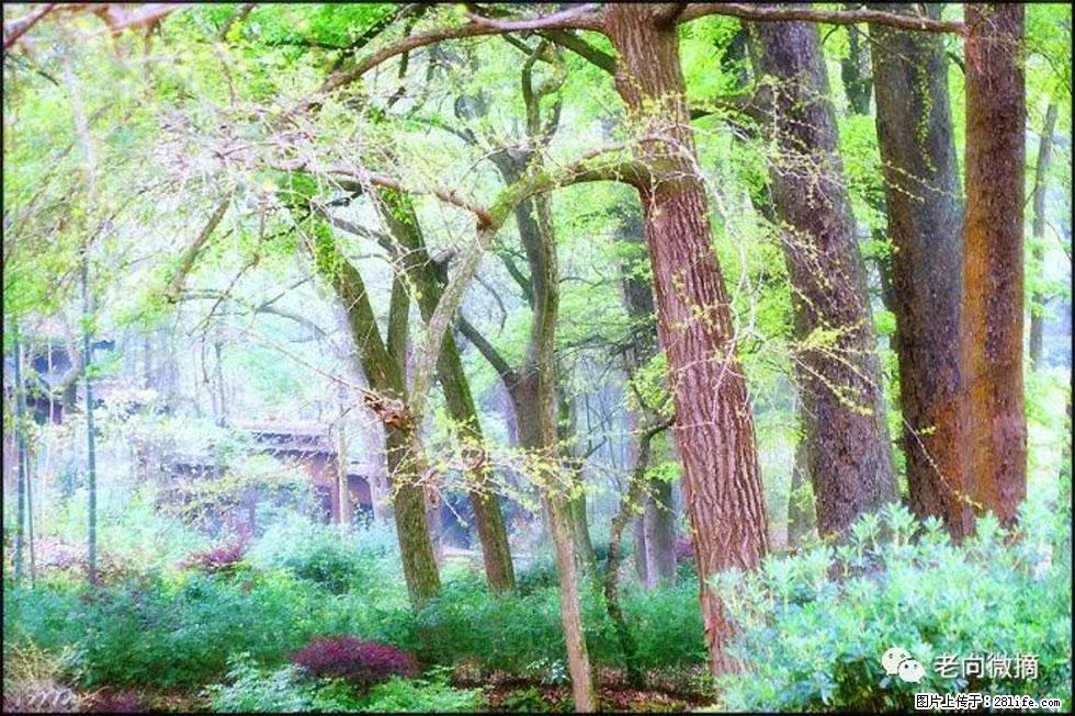 【春天,广西桂林灌阳县向您发出邀请!】在小龙村与春天约会 - 游山玩水 - 荆门生活社区 - 荆门28生活网 jingmen.28life.com