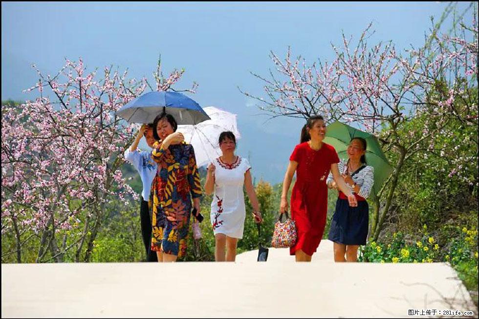 【春天,广西桂林灌阳县向您发出邀请!】望月岭上桃花开 - 游山玩水 - 荆门生活社区 - 荆门28生活网 jingmen.28life.com