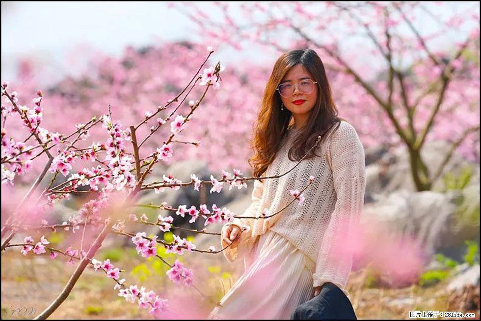 【春天,广西桂林灌阳县向您发出邀请!】望月岭上桃花开 - 游山玩水 - 荆门生活社区 - 荆门28生活网 jingmen.28life.com