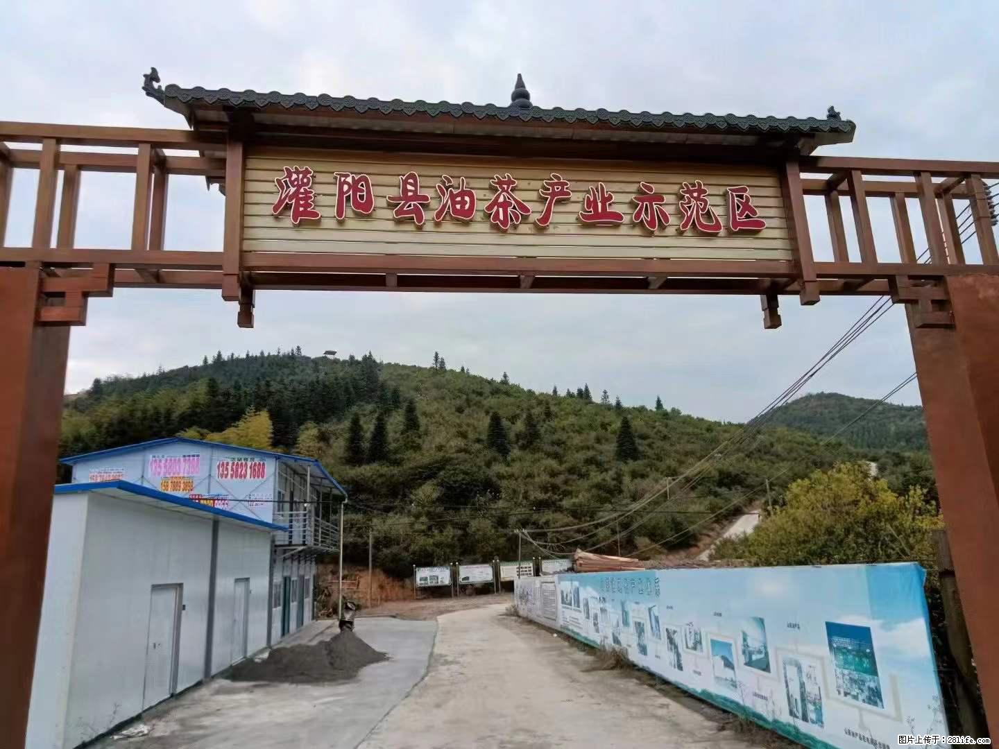 【灌阳县油茶产业示范区】一个有着充实的精神生活的人,对待身外之物自会有一种淡泊的态度 - 美食天地 - 荆门生活社区 - 荆门28生活网 jingmen.28life.com