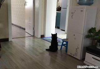 葡萄园 2室2厅1卫 - 荆门28生活网 jingmen.28life.com