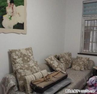 新城明珠对面王家岭广场有好房出租 - 荆门28生活网 jingmen.28life.com