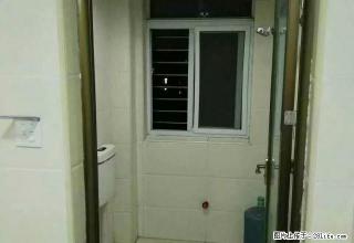 七一桥社区附近房屋出租 - 荆门28生活网 jingmen.28life.com