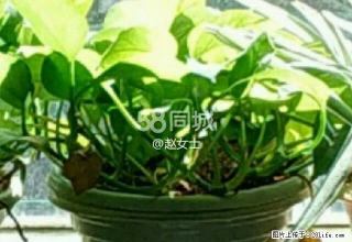 城市春天 2室2厅1卫 - 荆门28生活网 jingmen.28life.com