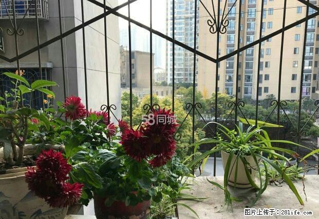 中天街附近工商街南熏门旁2房拎包入住 - 房屋出租 - 房屋租售 - 荆门分类信息 - 荆门28生活网 jingmen.28life.com