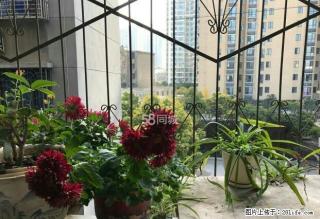 中天街附近工商街南熏门旁2房拎包入住 - 荆门28生活网 jingmen.28life.com