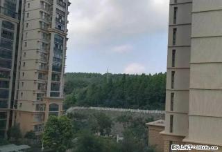 半山豪苑3房2厅2卫家具家电齐全 - 荆门28生活网 jingmen.28life.com