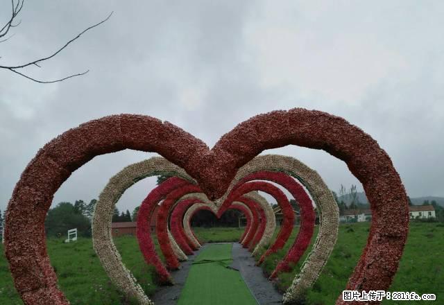 玉帝小区 三室两厅 简装 月租900 - 房屋出租 - 房屋租售 - 荆门分类信息 - 荆门28生活网 jingmen.28life.com