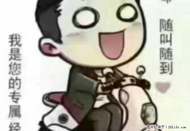 掇刀一医南院对面奥林雅苑急租! - 房屋出租 - 房屋租售 - 荆门分类信息 - 荆门28生活网 jingmen.28life.com