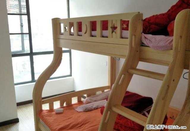 1室1厅1卫精装好房出租,小区环境极好、周边交通便利 - 房屋出租 - 房屋租售 - 荆门分类信息 - 荆门28生活网 jingmen.28life.com