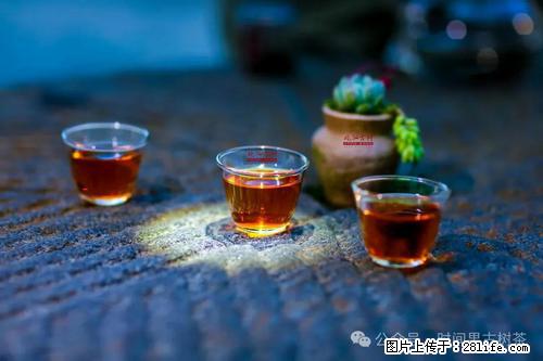 时间果百年古树2025年春红茶 - 购物交流 - 荆门生活社区 - 荆门28生活网 jingmen.28life.com