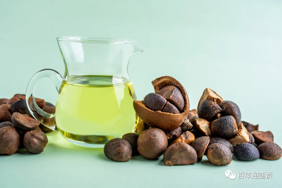 世界没有真相，只有认知，最好的食用油是中国的山茶油！ - 荆门生活资讯 - 荆门28生活网 jingmen.28life.com