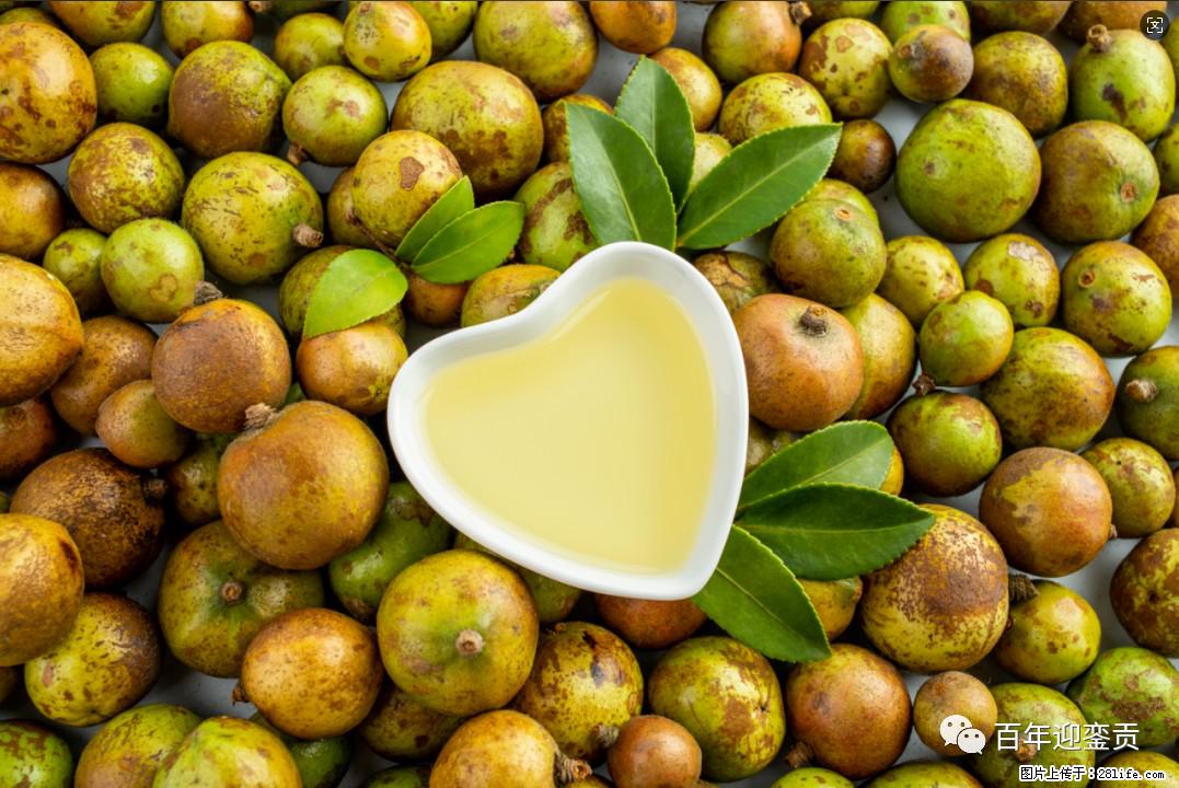 世界没有真相，只有认知，最好的食用油是中国的山茶油！ - 荆门生活资讯 - 荆门28生活网 jingmen.28life.com