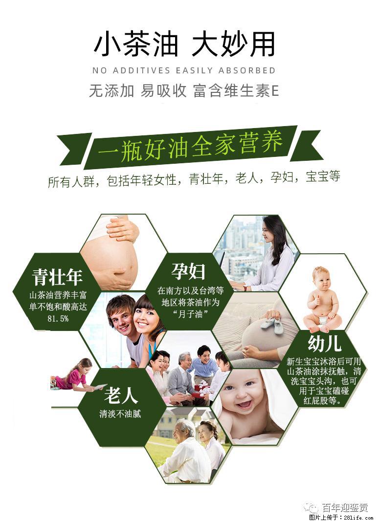 世界没有真相，只有认知，最好的食用油是中国的山茶油！ - 荆门生活资讯 - 荆门28生活网 jingmen.28life.com