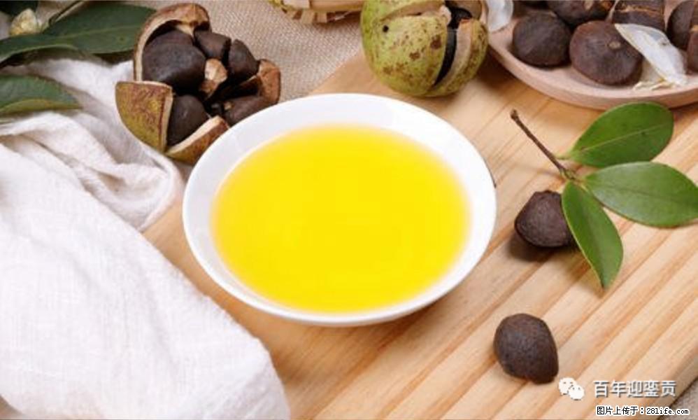 世界没有真相，只有认知，最好的食用油是中国的山茶油！ - 荆门生活资讯 - 荆门28生活网 jingmen.28life.com