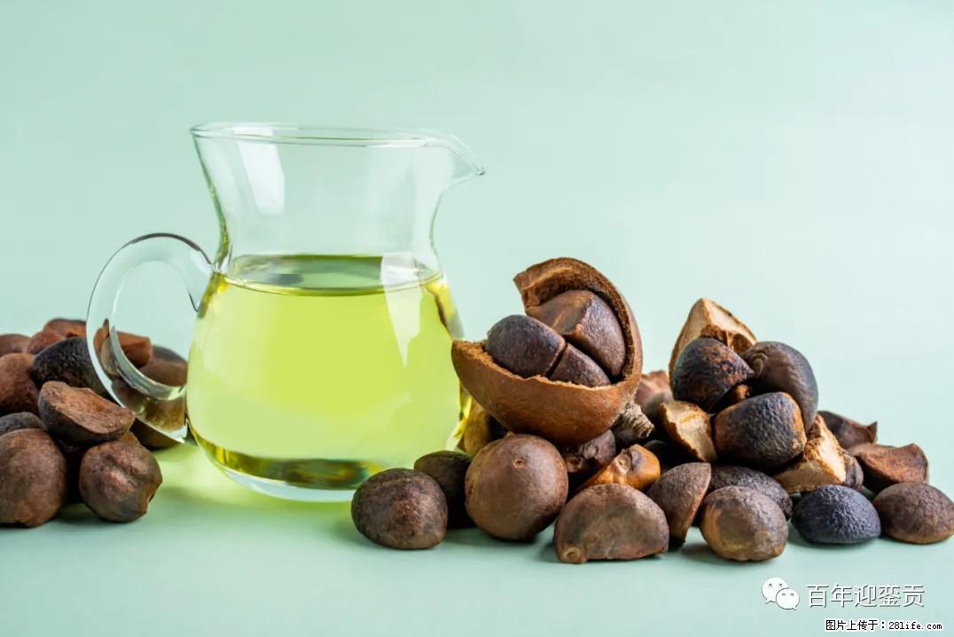 世界没有真相，只有认知，最好的食用油是中国的山茶油！ - 荆门生活资讯 - 荆门28生活网 jingmen.28life.com