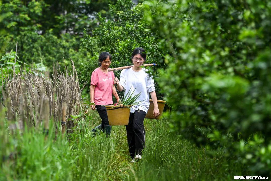 全网追的“扁担女孩”,找了一份暑假工,时薪12元 - 荆门生活资讯 - 荆门28生活网 jingmen.28life.com