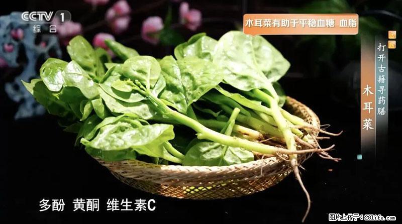 比牛奶补钙还厉害!凉血解毒、稳血糖...这菜冬天必吃,很多人却当草 - 荆门生活资讯 - 荆门28生活网 jingmen.28life.com