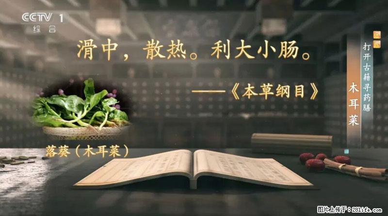 比牛奶补钙还厉害!凉血解毒、稳血糖...这菜冬天必吃,很多人却当草 - 荆门生活资讯 - 荆门28生活网 jingmen.28life.com