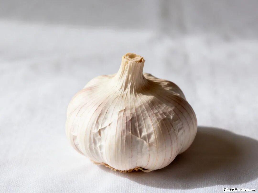 关于大蒜，除了“天然抗生素”，这4个谣言更该警惕! - 荆门生活资讯 - 荆门28生活网 jingmen.28life.com