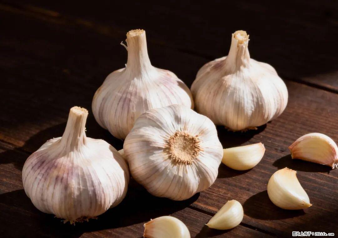 关于大蒜，除了“天然抗生素”，这4个谣言更该警惕! - 荆门生活资讯 - 荆门28生活网 jingmen.28life.com