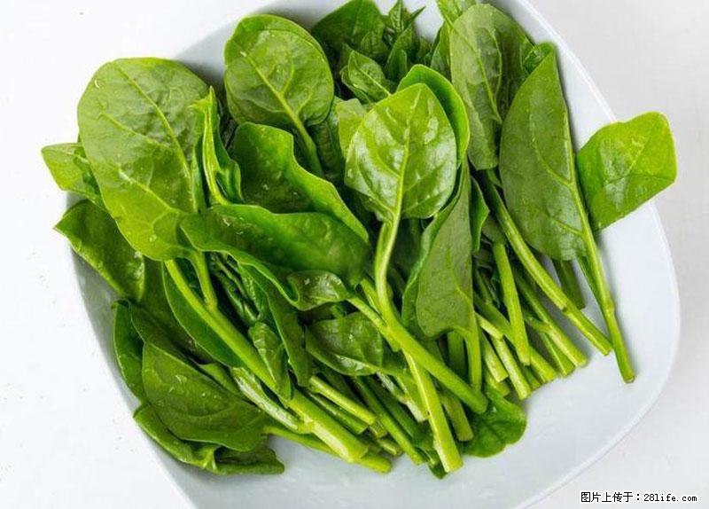 这些蔬菜是“天然钙片”，这6种被医生重点推荐 - 荆门生活资讯 - 荆门28生活网 jingmen.28life.com
