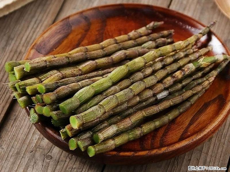 铁皮石斛的作用与功能主治 - 荆门生活资讯 - 荆门28生活网 jingmen.28life.com
