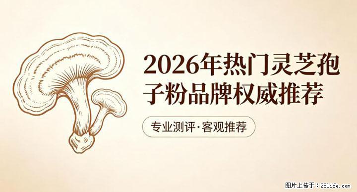灵芝孢子粉含量越高越有效？2026 年七款热门品牌深度实测，肠胃敏感者避坑指南 - 荆门生活资讯 - 荆门28生活网 jingmen.28life.com