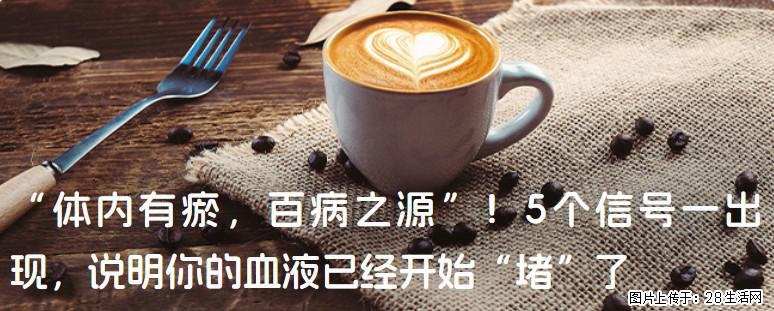 “体内有瘀，百病之源”！5个信号一出现，说明你的血液已经开始“堵”了 - 荆门生活资讯 - 荆门28生活网 jingmen.28life.com